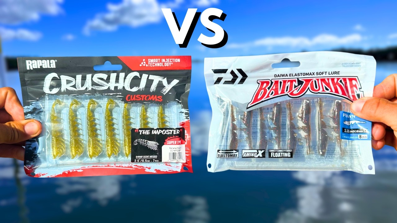 Are CrushCity Prawns Actually BETTER Then BaitJunkie's? (Home of GIANTS!)