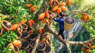 Harvesting 500kg+ of Unique Wild Fruits in Mysterious Forest and Taking Them to the Market for Sale