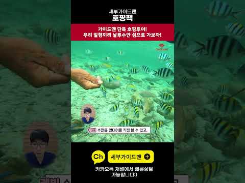 [Shorts] 세부 호핑팩 2화