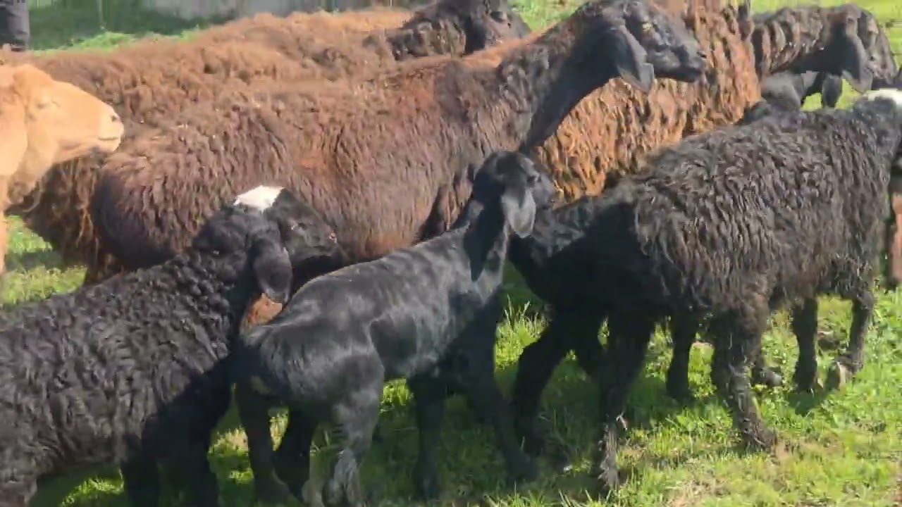 27 февраля 2026 г.