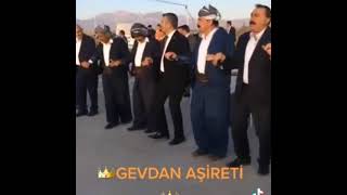 Gewdan Aşireti Düğünü Berke Banya Şarkısı Resimi