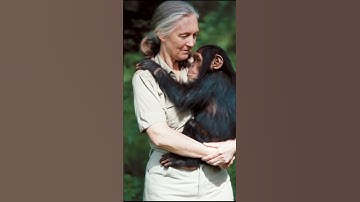 Heartwarming Moments: Jane Goodall with a Chimp & a Gorilla Mom with Her Baby #JaneGoodall