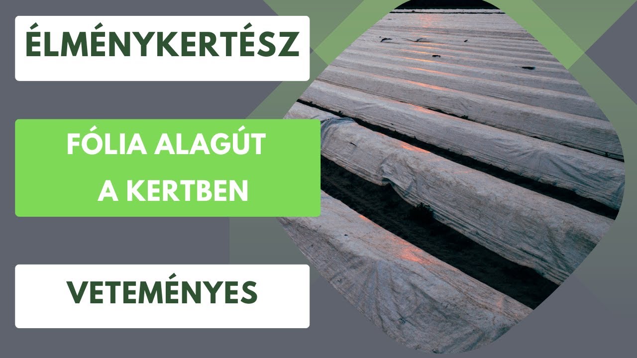 Szeretnéd előbb kezdeni a kertészketi szezont!- Fólia sátor állítása a veteményesben🥬🫑