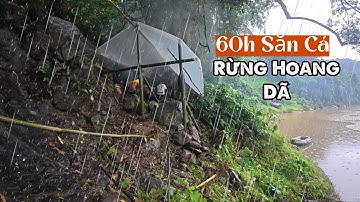 60H Săn Cá Rừng Hoang Dã, Dựng Trại Trong Rừng Mưa Nhiệt Đới | Wild Fish Hunting
