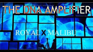 The DNA Amplifier - Subliminal Results DNA Language - Royal X Malibu - Subliminal