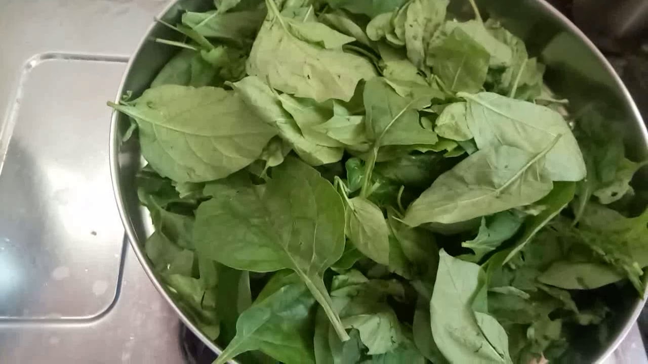 மணத்தக்காளி கீரை ரசம் /Spinach manattakkali rasam recipe in tamil YouTube
