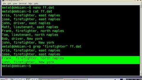 BASH grep and cut commands
