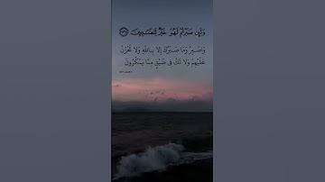 سورة النحل بصوت القارئ ماهر المعيقلي🤍