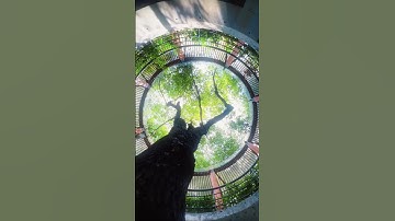 Inception vibes unlocked with Flow 2 Pro 🌀 | Insta360 Flow 2 Pro