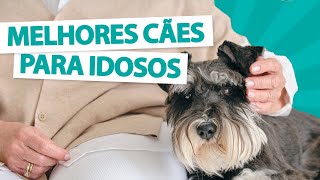 5 RAÇAS ÓTIMAS PARA PESSOAS DE MAIS IDADE! - Lista pet by Manual Pet 1,321 views 2 years ago 2 minutes, 41 seconds