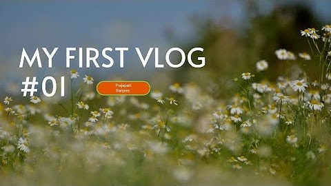 my first vlog | my first vlog viral | my first vlog today #myfirstvlog 