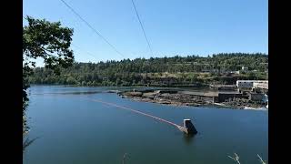 Willamette Falls, video 2, 6k