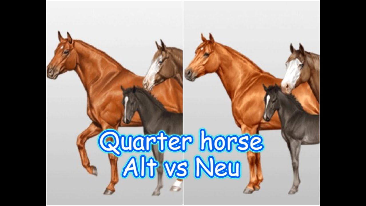 Horse Reality202 das Quarter horse hat ein neues Aussehen bekommen