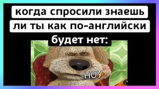 не знает тикток