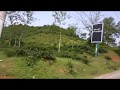 [HD] Tea Garden Sylhet
