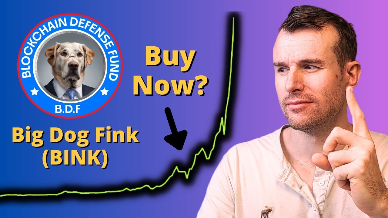 Why Big Dog Fink Is Up... 🤩 BINK Crypto Token Analysis