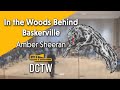 Amber Sheeran - In the Woods Behind Baskerville