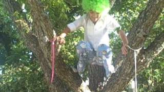 Tree Troll