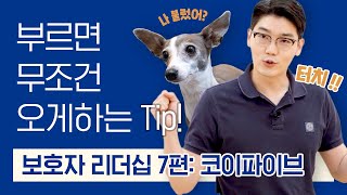 강아지들을 쉽고 재밌게 부르는 꿀팁을 알려드립니다 😎 | 보호자 리더십 7편 : '코이파이브' | 설채현 행동학 수의사