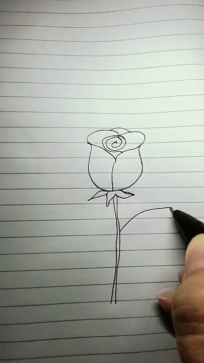 tutorial mudah membuat gambar Bunga mawar merah. #menggambardanmewarnai #bungamawarmerah