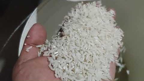 64 channel rice color sorter 1.0t/h automatic rice separator machine