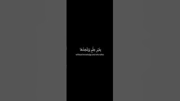 سورة لقمان / القارئ ياسر الدوسري 🤍 #آيات #قران #راحه_نفسيه #تلاوة_هادئة #ارح_سمعك  #كرومات_دينية