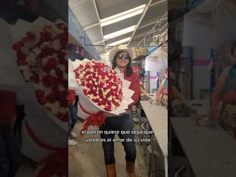 Entrega #59: señorita Alicia le manda unas flores El Patrón