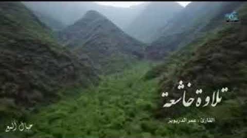 الله خالق كل شيء/ تلاوة مميزة للشيخ عمر دريويز