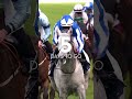 Just seven days remain until British Champions Day | #Shorts #Ascot #horseracing