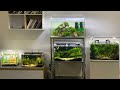 Aquascape diy  m dcor  nettoyer et laguer les plantes dans mes 5 meilleures ides daquariums