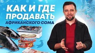 СБЫТ РЫБЫ в УЗВ - Как и Где продавать АФРИКАНСКОГО СОМА? Рыбоводный БИЗНЕС с НУЛЯ