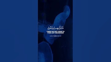 ‏تِلاوة تُداوي القلب🤎| القران الكريم | راحة نفسية | تلاوة هادئة | أرح قلبك |