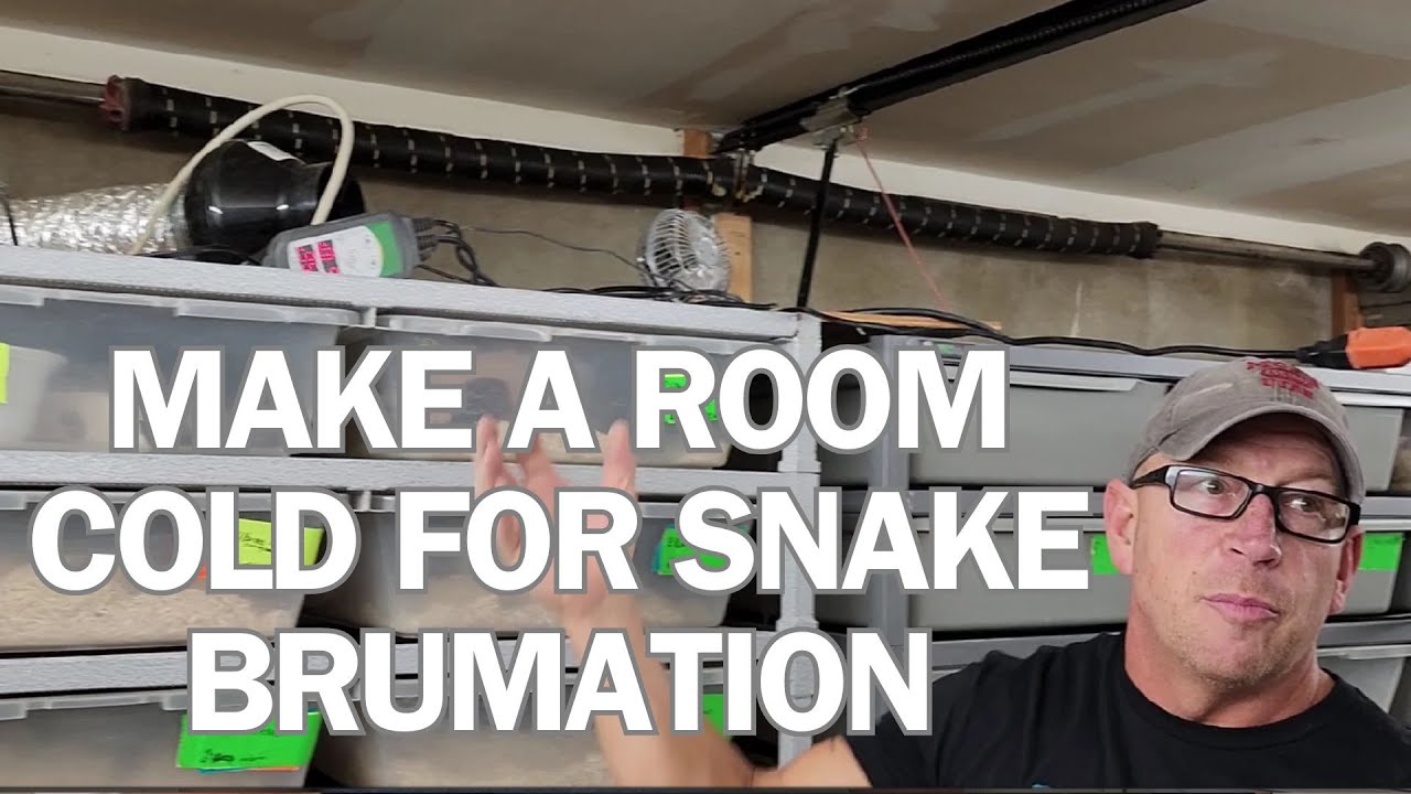 one-way-to-make-a-room-cold-for-brumation-youtube