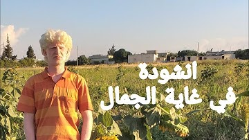 فمتى ستكتحل العيون ببعضها انشودة دينية للقارئ عامر جبو