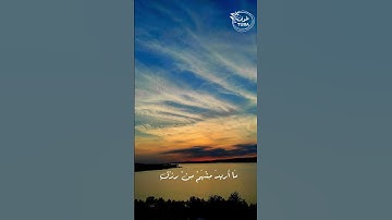 سورة الذاريات | الآية ٥٥-٥٨