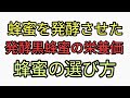 発酵黒蜂蜜の栄誉効果が凄すぎる！マヌカハニーより安いし試す価値あり。蜂蜜の選び方。固まる蜂蜜は良いハチミツです