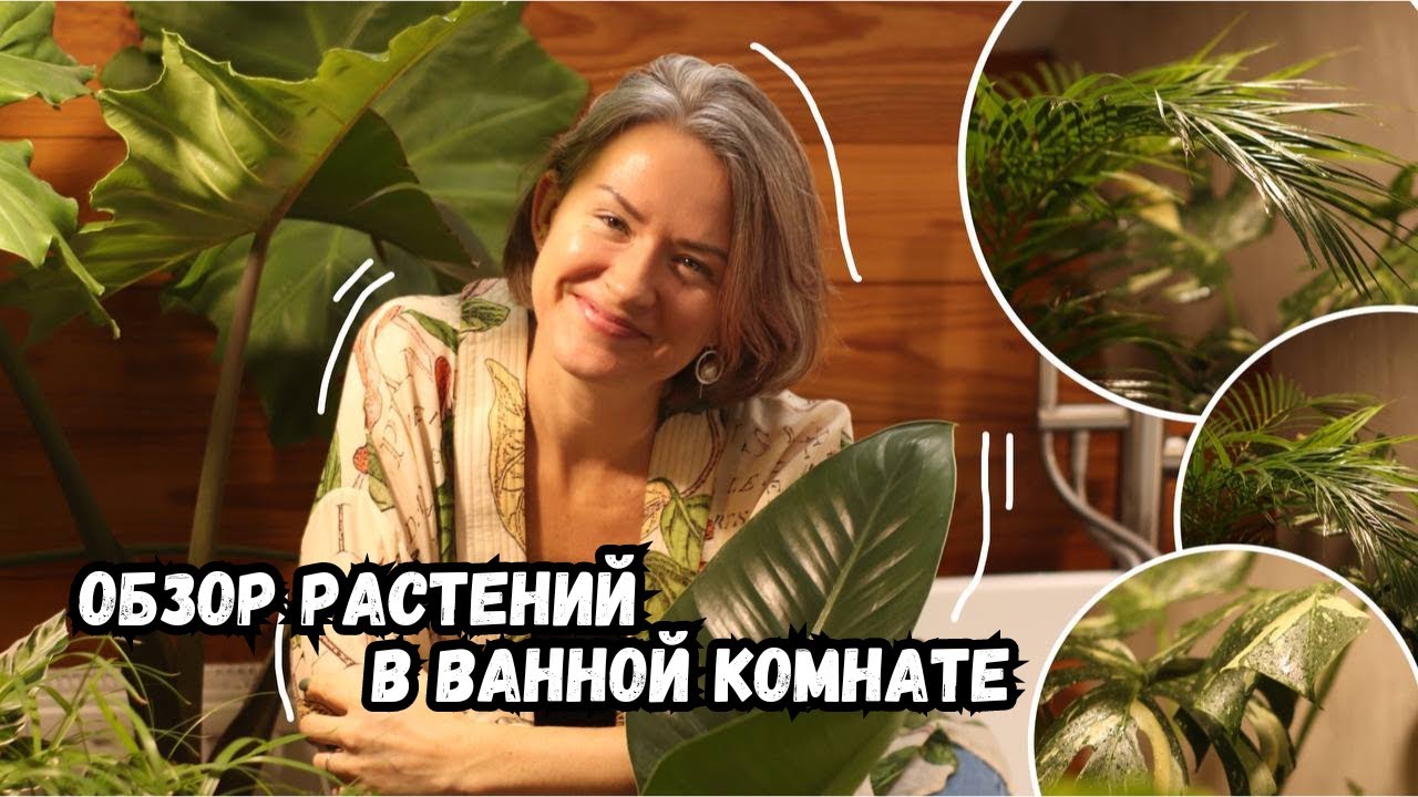 Смотреть видео