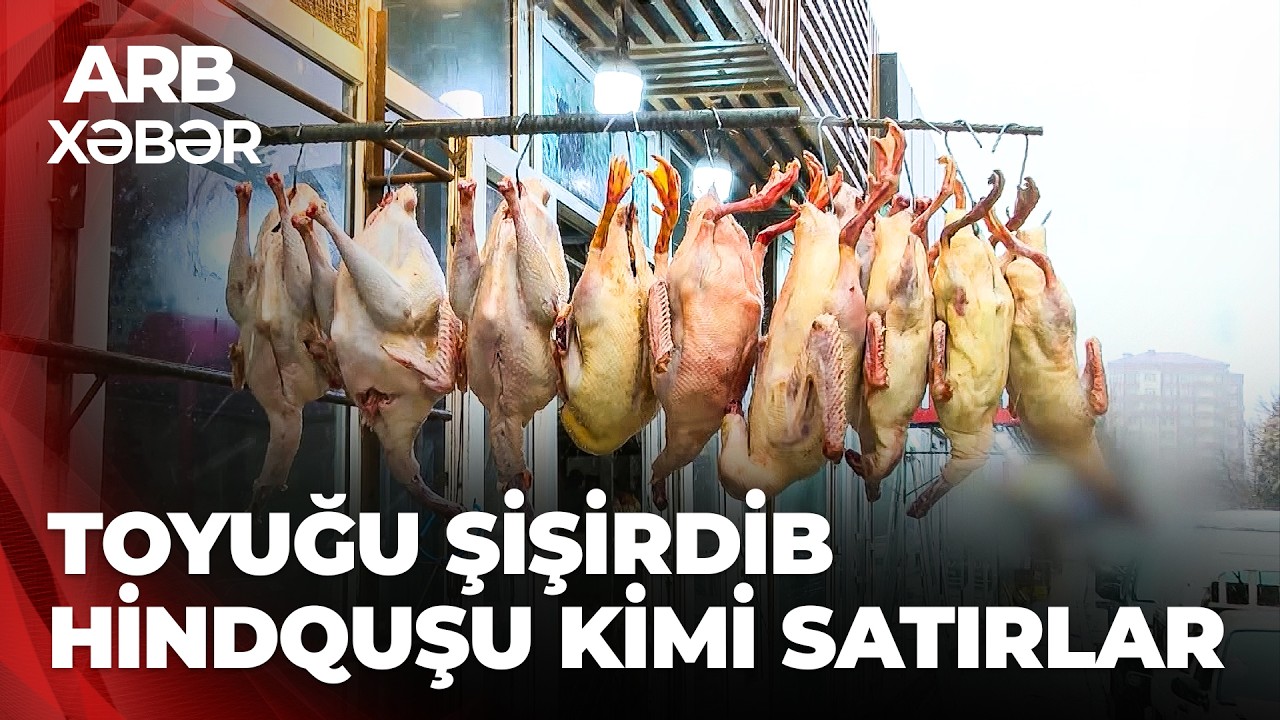 ARB XƏBƏR – Saxta satış iddiası – Toyuqlar hind quşu kimi satılır?