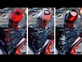 Marvels spiderman 2  peter removes the symbiote with every suit
