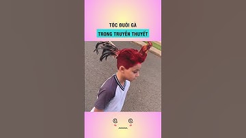 Tóc đuôi gà trong truyền thuyết là đây sao #shorts