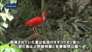 井の頭自然文化園　熱帯鳥温室が閉鎖