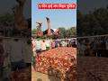 5 फीट हाई जम्प बिहार पुलिस #youtubeshorts #shortsfeed