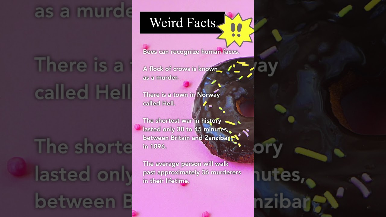 Weird and Fun Facts You Didn’t Know