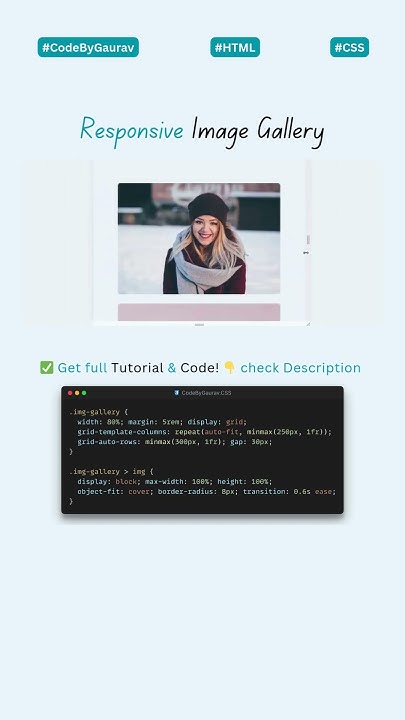 📸 Responsive Image Gallery Using HTML & CSS #webdevelopment #coding # ...