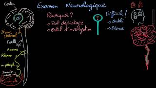 Examen neurologique - Introduction - Docteur Synapse