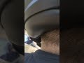 bhaut khub surat najara phado ki wadiyeo main