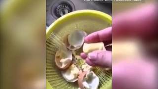 A consumer explains how to identify a fake egg