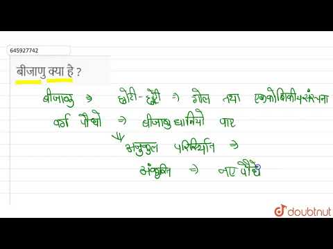 वीडियो: चमड़े के बीजाणु क्या होते हैं?