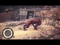 Monster Hunter World - как правильно запрыгнуть на монстра и оседлать его