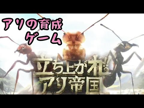 【立ち上がれ、アリ帝国】初心者攻略！序盤の効率的な資源管理と施設建設の鉄則